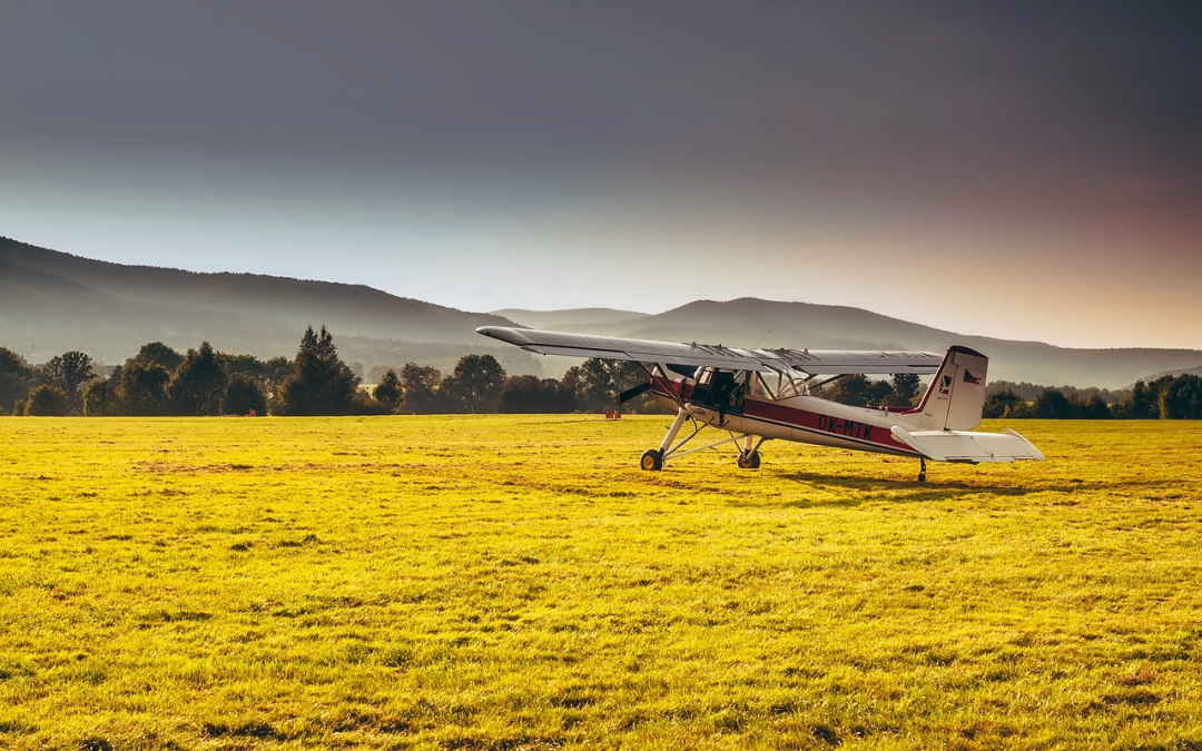 Soft Landing in Sight