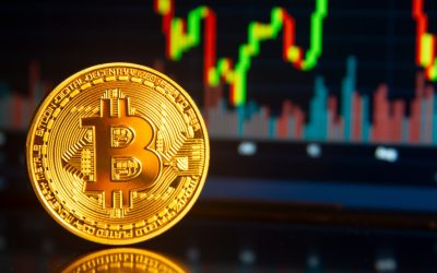 Bitcoin is Here to Stay  