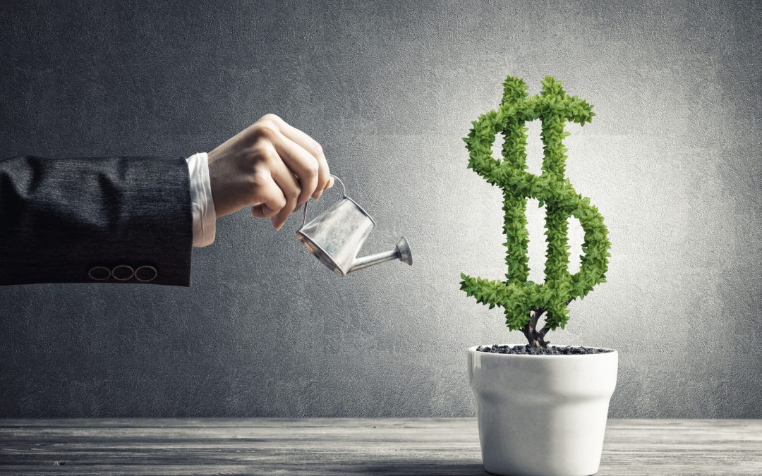 Build Wealth by Borrowing  